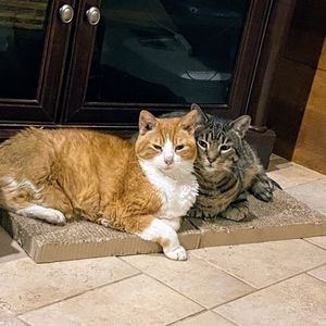 Meet your Posher, Candace